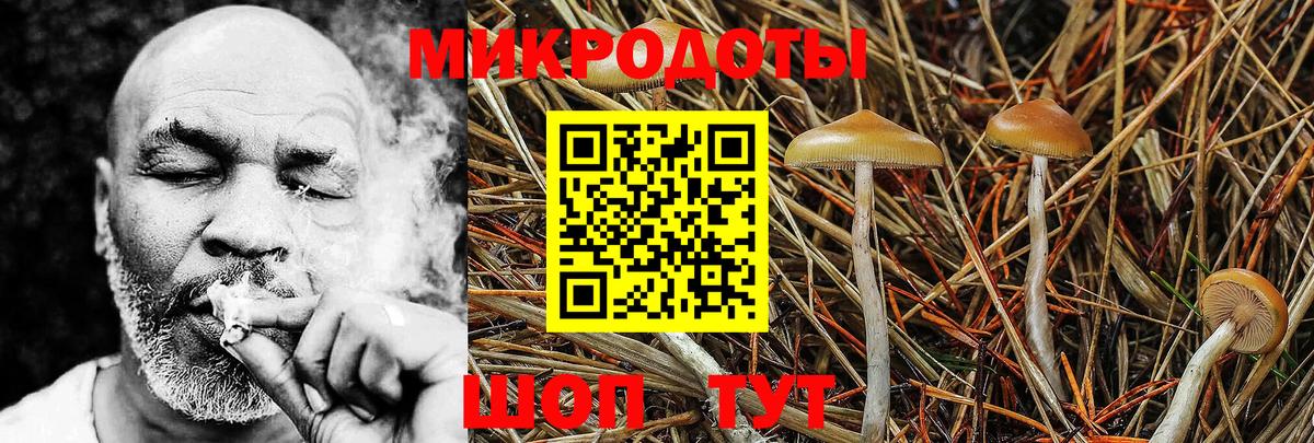 Псилоцибиновые грибы мицелий  Галлюциногенные грибы MAGIC MUSHROOMS  Вход с VPN  Пенза 